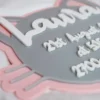 Baby's Birth Details Plaque | Acrylic Nursery Sign - Cat