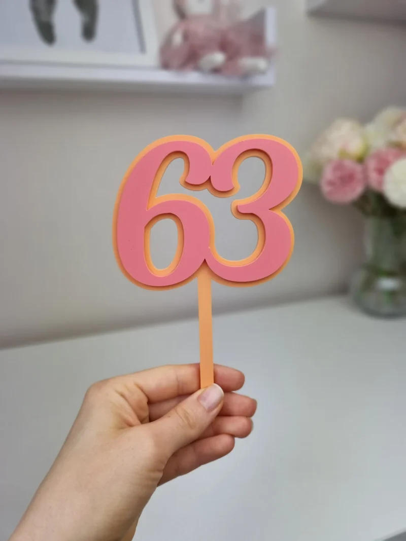 Number Cake Topper (with stick) | Double Layered