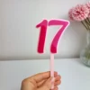Number Cake Topper (with stick) | Double Layered