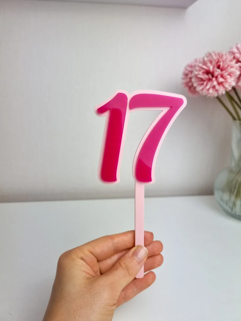 Number Cake Topper (with stick) | Double Layered
