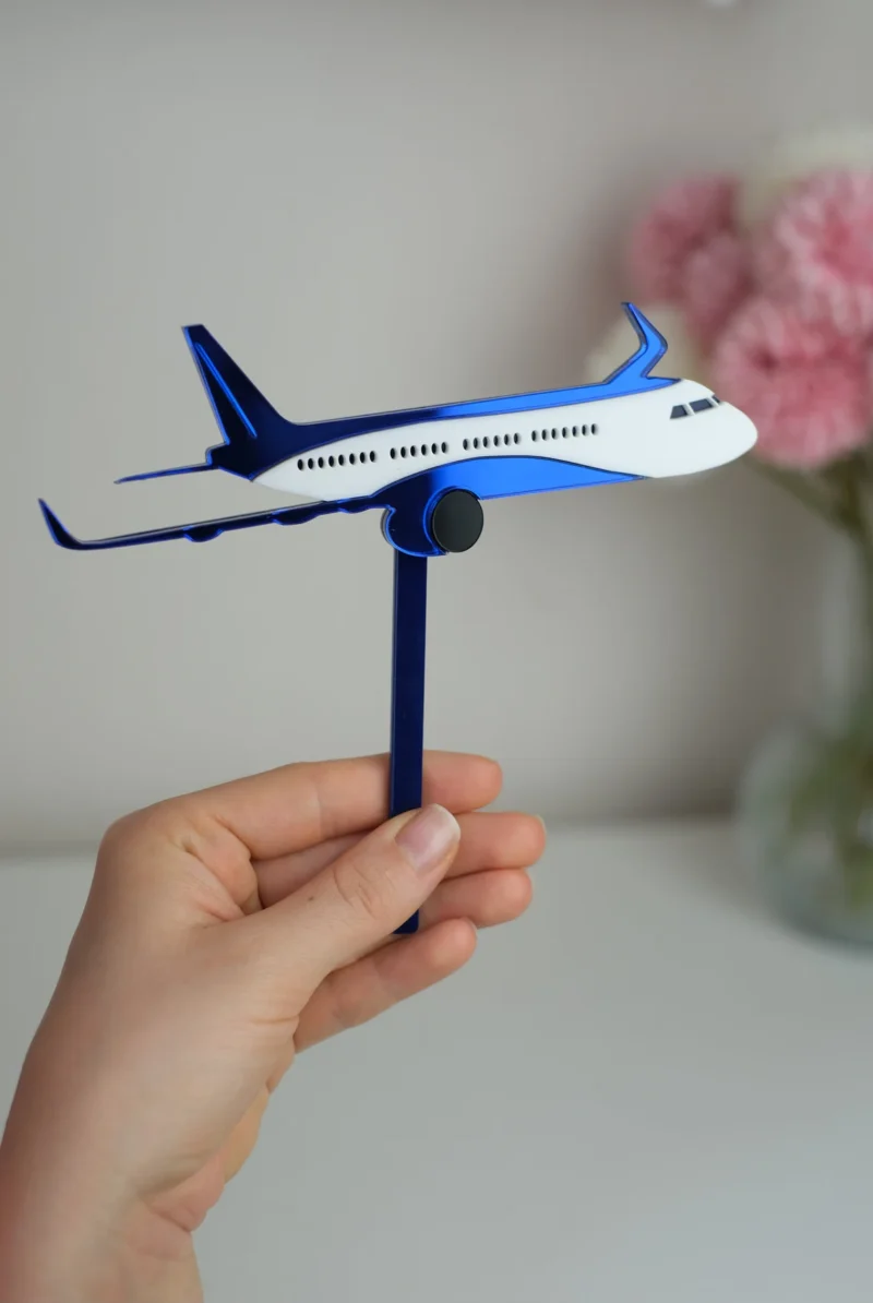 Airplane Cake Topper Set